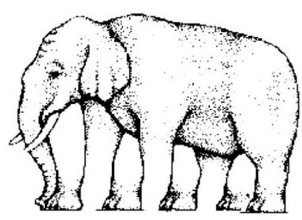 Elephant illusion